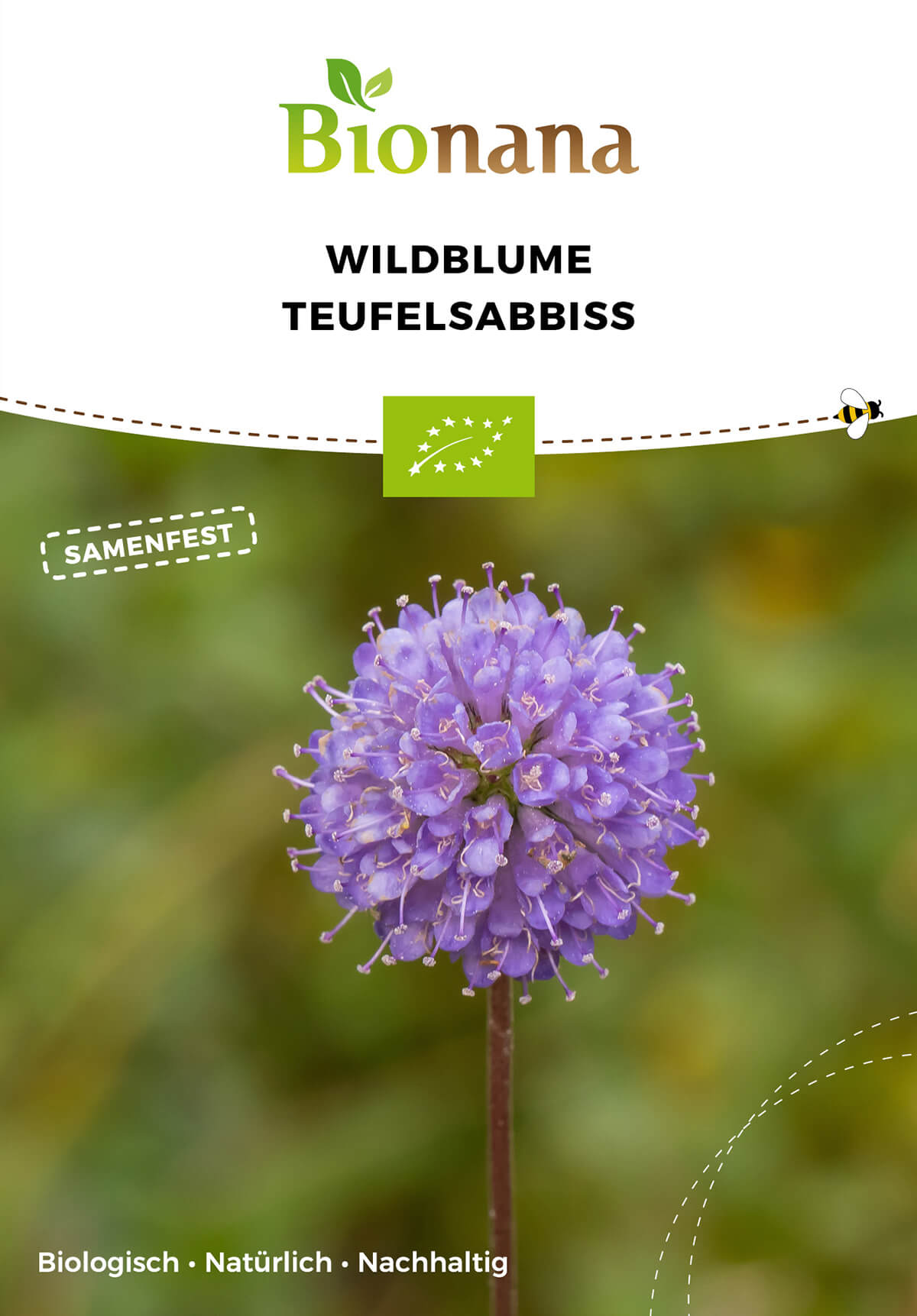 Wildblume Teufelsabbiss | BIO Wildblumensamen von Bionana