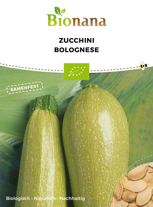 Zucchini Bolognese | BIO Zucchinisamen von Bionana