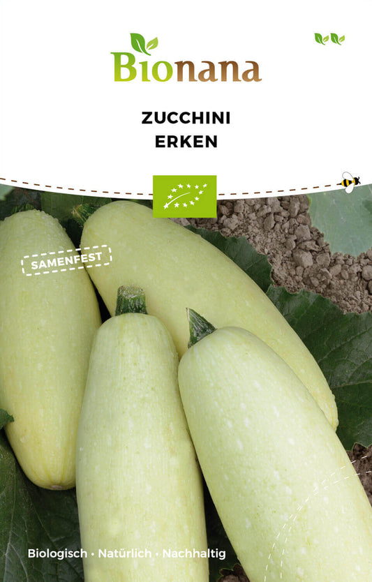 Zucchini Erken | BIO Zucchinisamen von Bionana