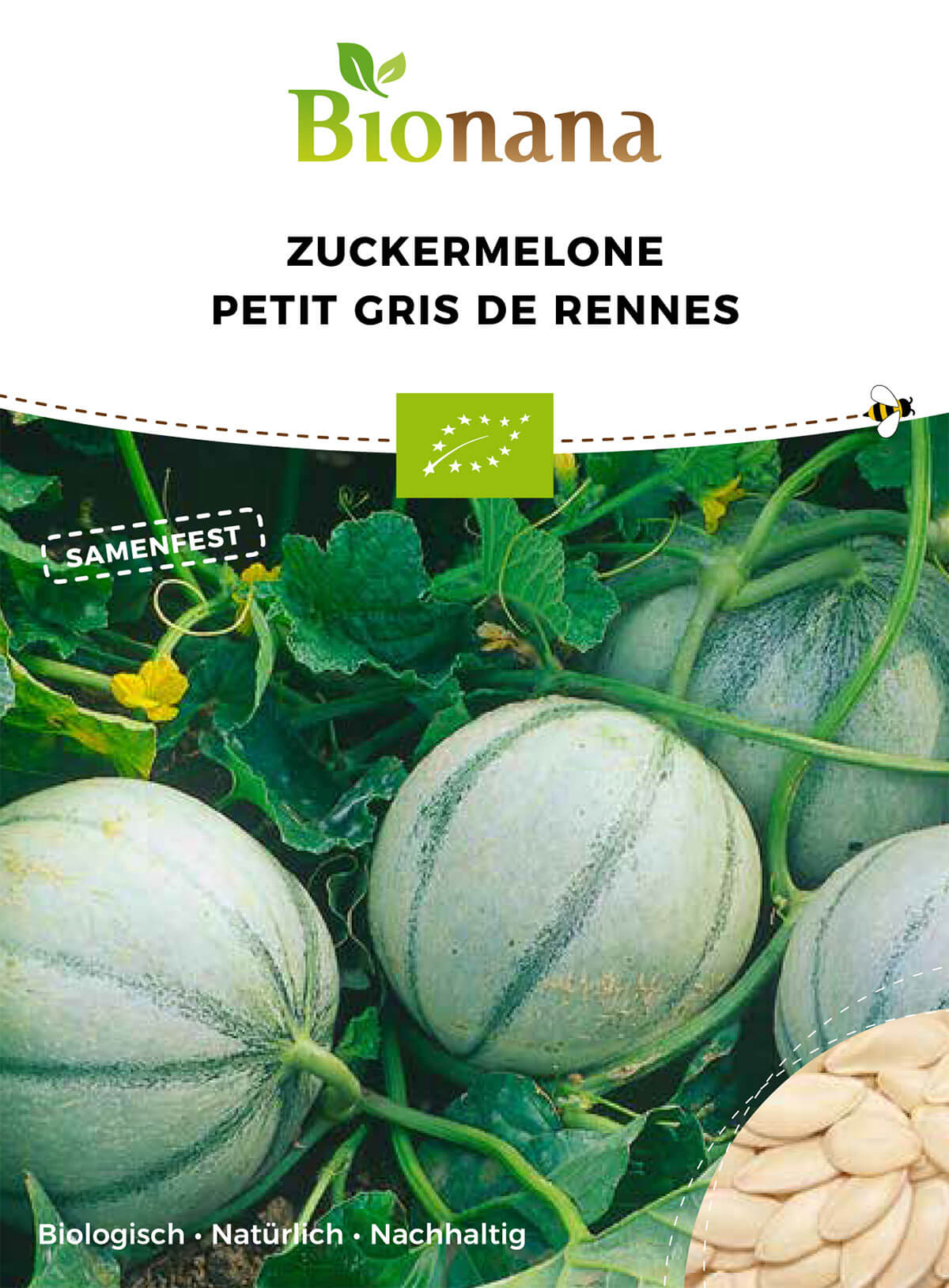 Zuckermelone Petit Gris de Rennes | BIO Zuckermelonensamen von Bionana
