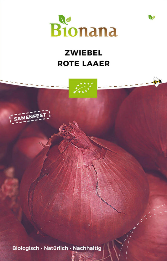 Zwiebel Rote Laaer | BIO Zwiebelsamen von Bionana