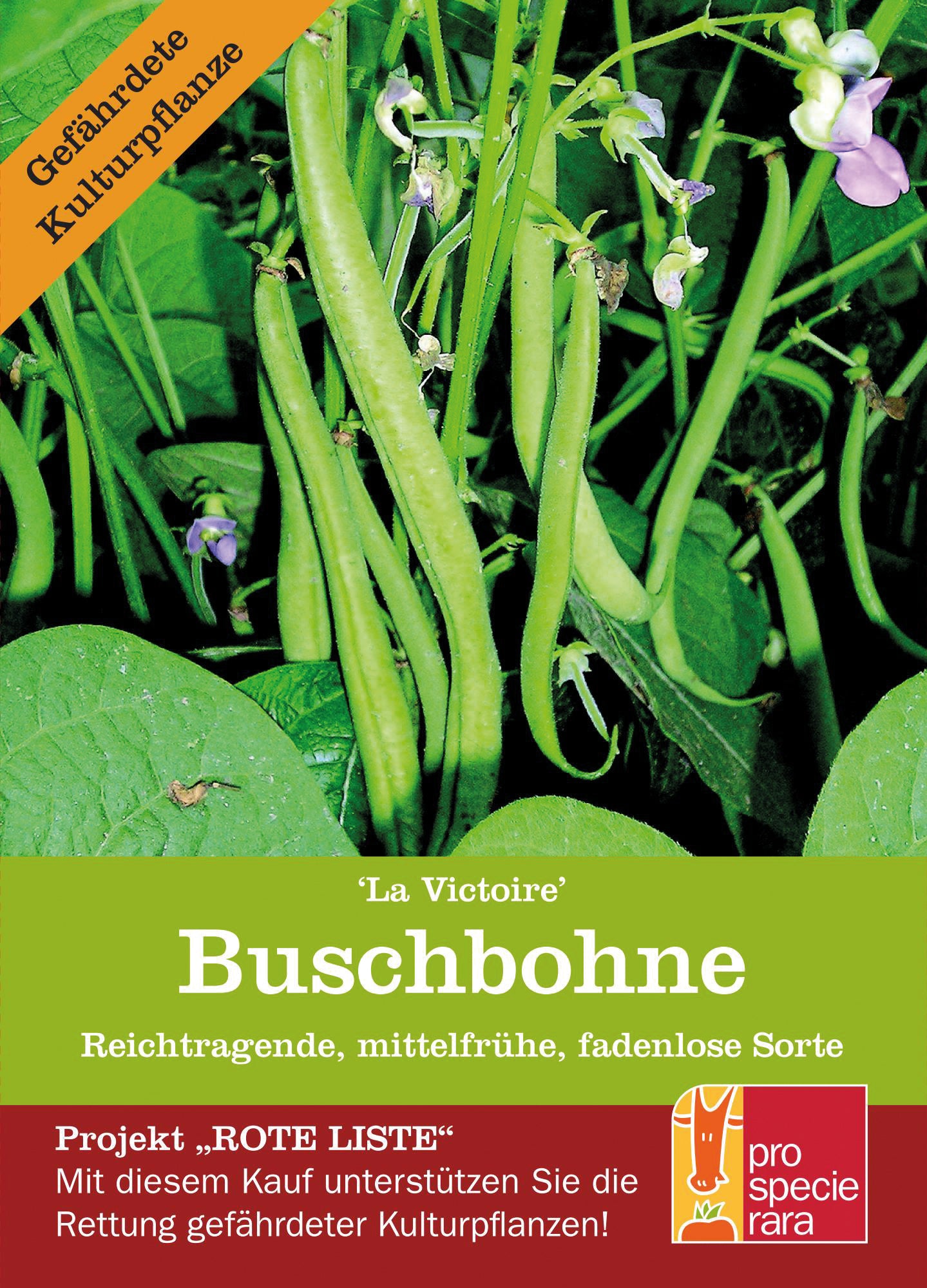 Buschbohne La Victoire | BIO Buschbohnensamen von ProSpecieRara