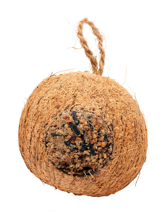 Gefüllte Kokosnuss (1 Stück) | Vogelfutter von ReNatura