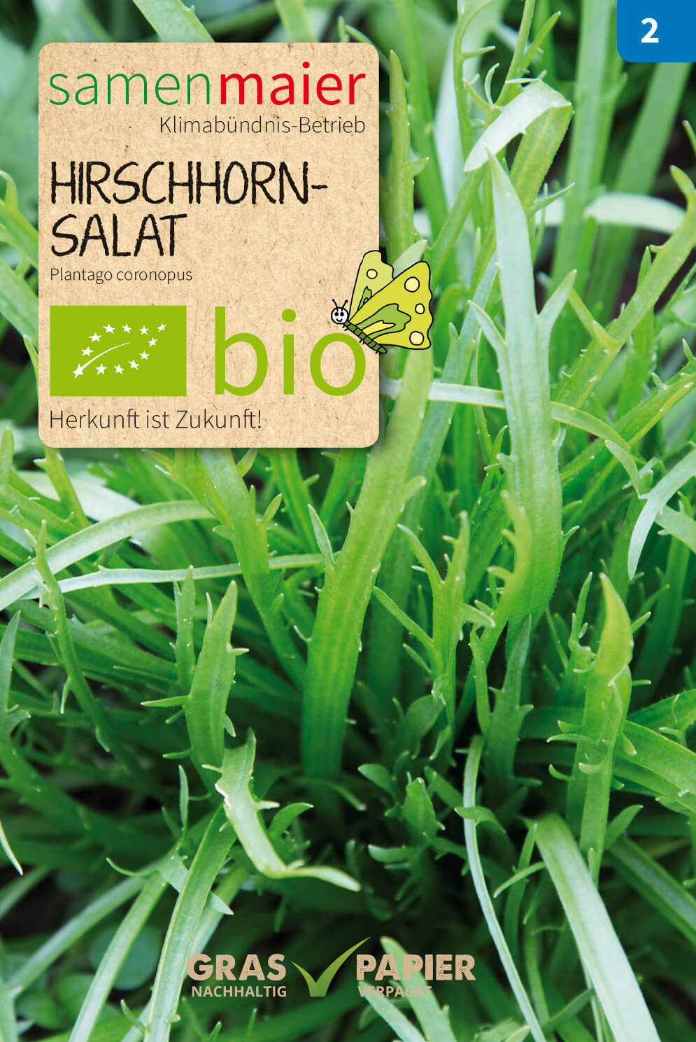 Hirschhornsalat | BIO Salatsamen von Samen Maier