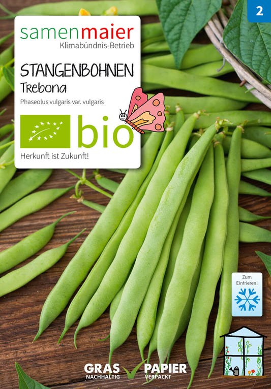 Stangenbohnen Trebona grün | BIO Stangenbohnensamen von Samen Maier