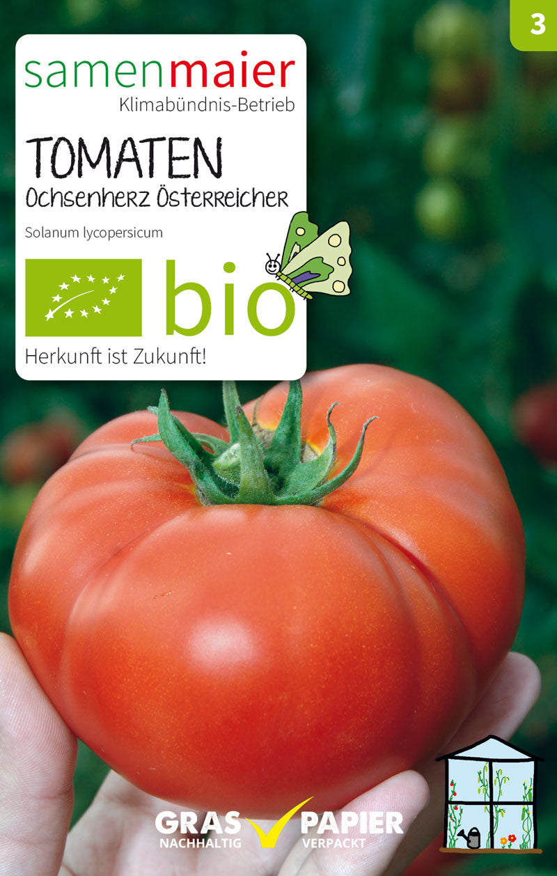 Tomaten Ochsenherz Österreicher | BIO Fleischtomatensamen von Samen Maier