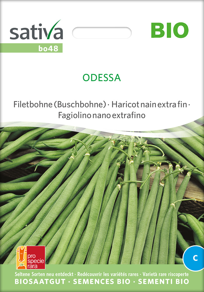 Filetbohne Odessa | BIO Bohnensamen von Sativa Rheinau