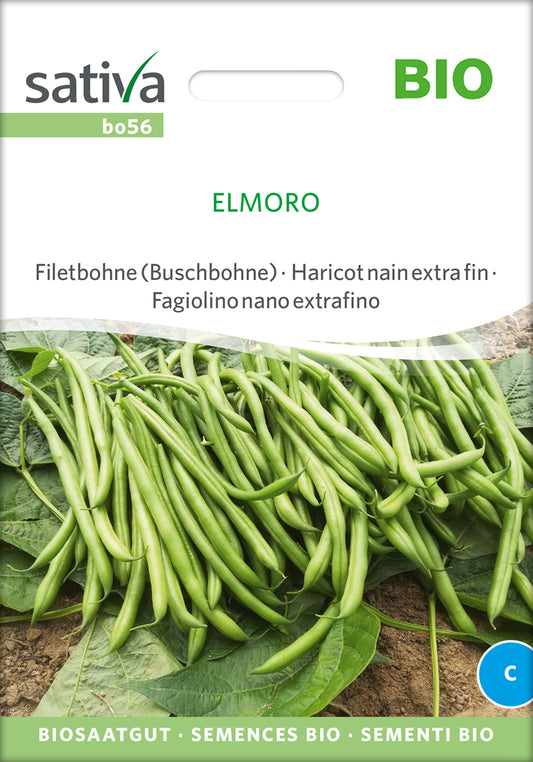 Filetbuschbohne Elmoro | BIO Bohnensamen von Sativa Rheinau