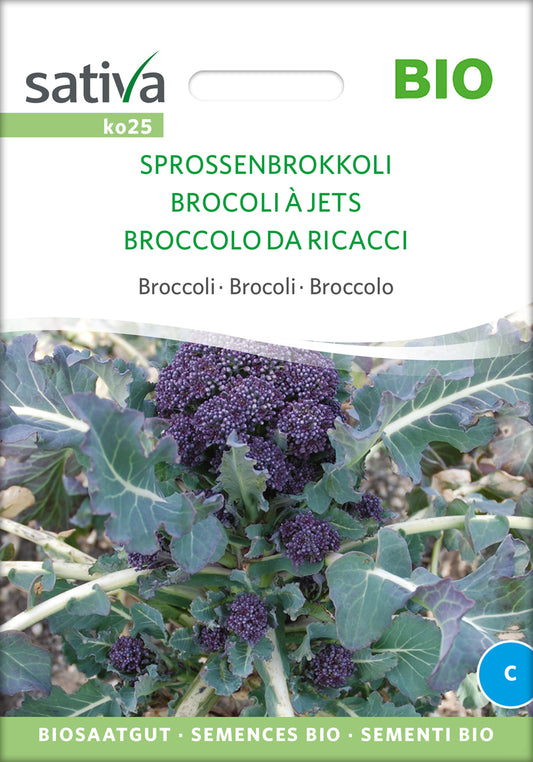 Sprossenbrokkoli | BIO Brokkolisamen von Sativa Rheinau