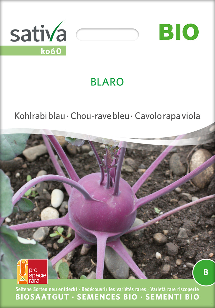 Kohlrabi Blaro | BIO Kohlrabisamen von Sativa Rheinau
