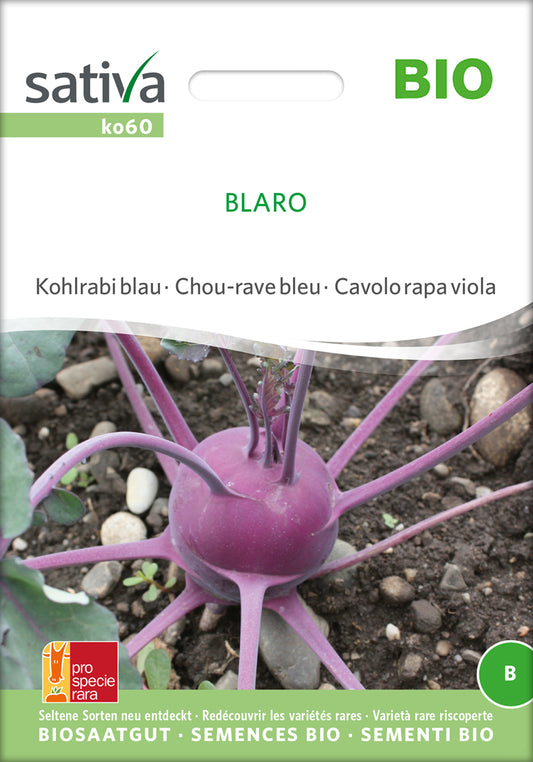 Kohlrabi Blaro | BIO Kohlrabisamen von Sativa Rheinau