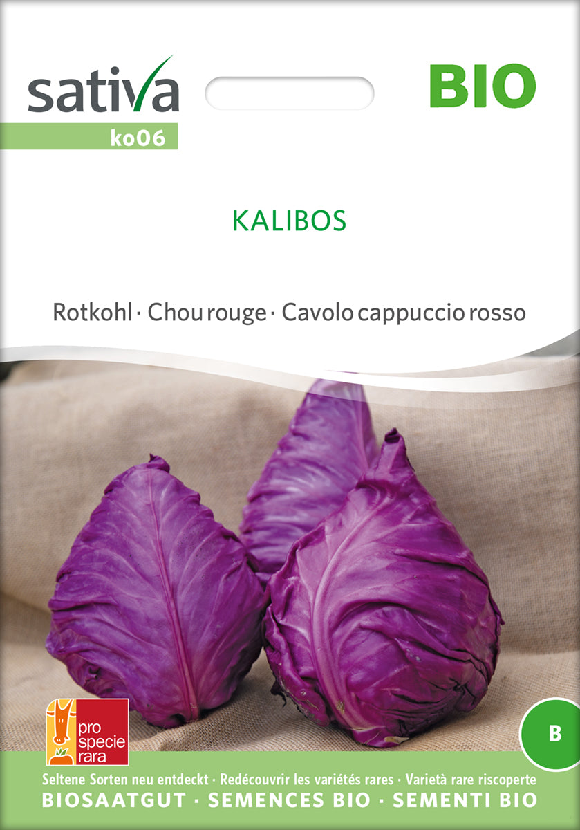 Rotkohl Kalibos | BIO Rotkohlsamen von Sativa Rheinau