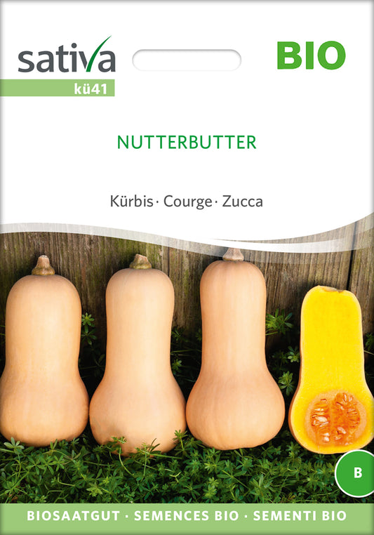 Kürbis Nutterbutter | BIO Butternutkürbissamen von Sativa Rheinau