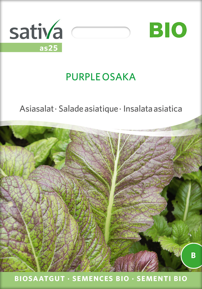 Asiasalat Purple Osaka | BIO Asiasalatsamen von Sativa Rheinau