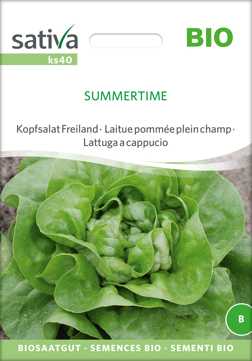 Kopfsalat Summertime | BIO Kopfsalatsamen von Sativa Rheinau