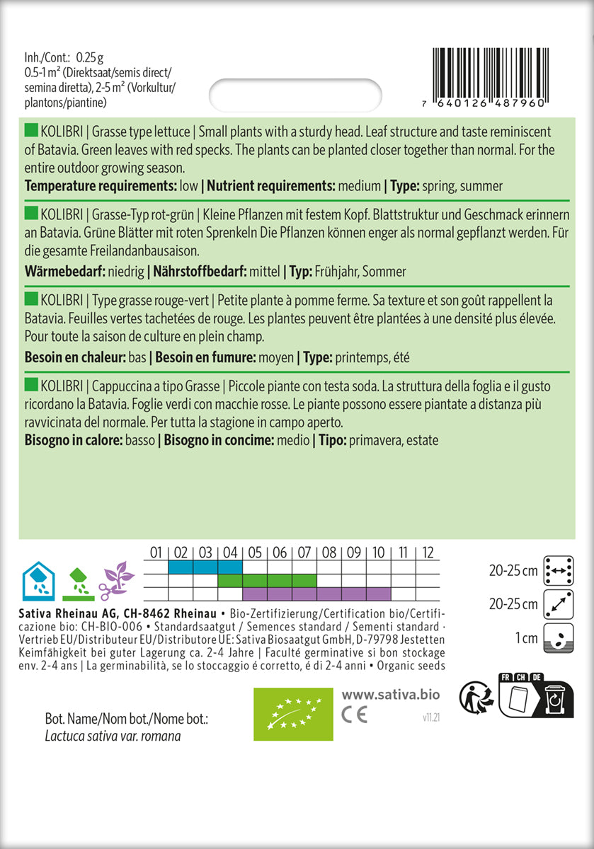 Kopfsalat Kolibri | BIO Kopfsalatsamen von Sativa Rheinau
