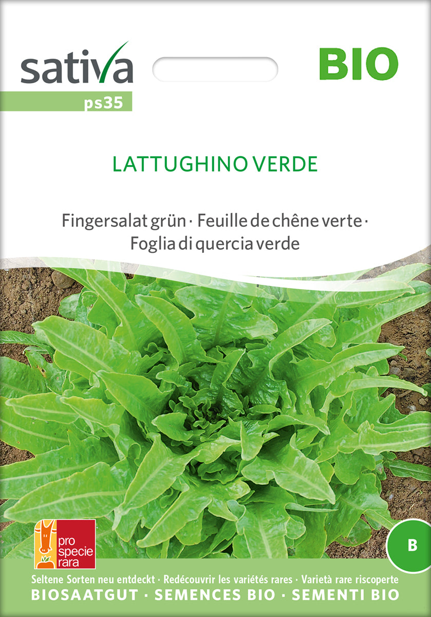 Fingersalat Lattughino Verde | BIO Fingersalatsamen von Sativa Rheinau