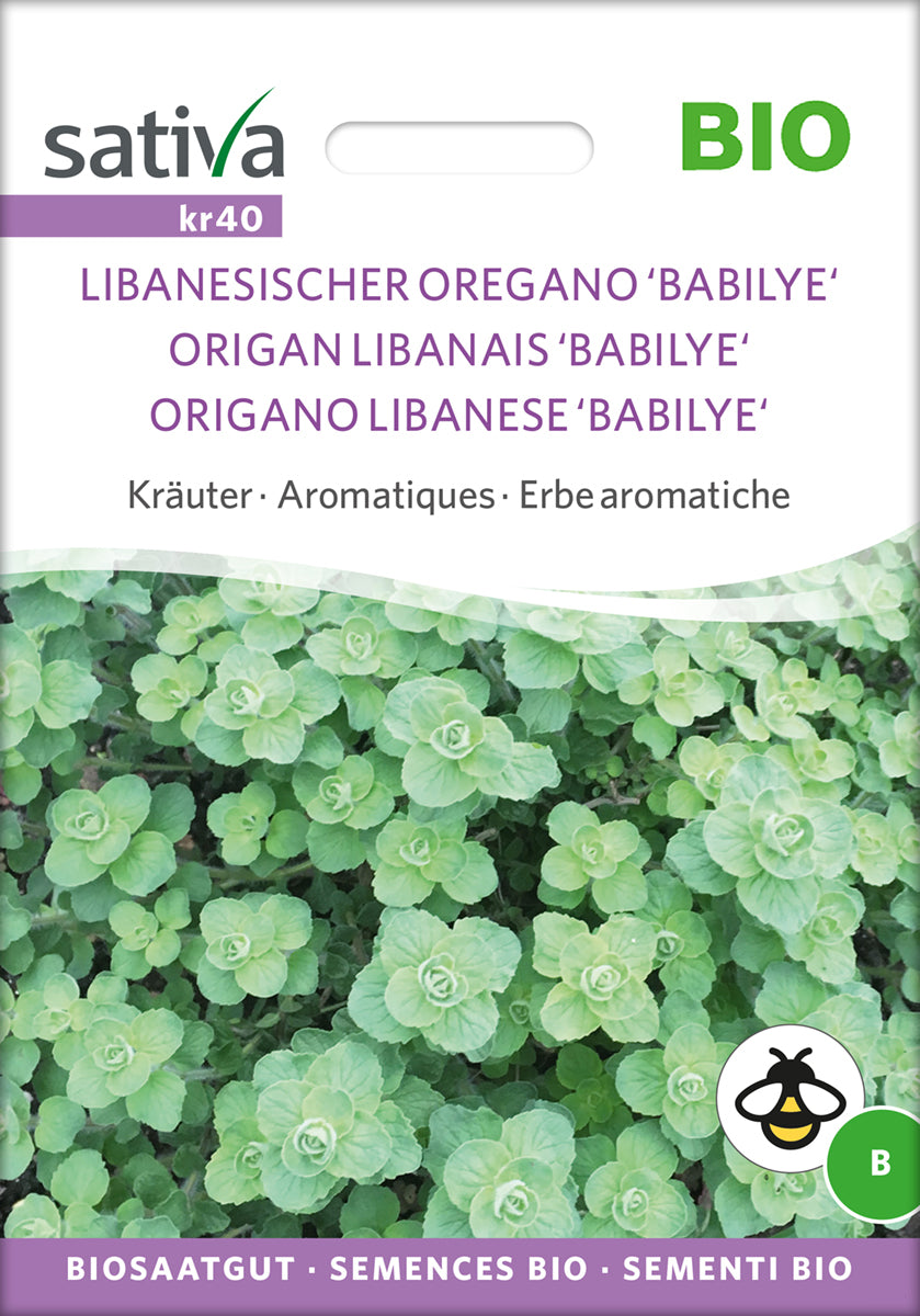 Oregano Babilye | BIO Oreganosamen von Sativa Rheinau