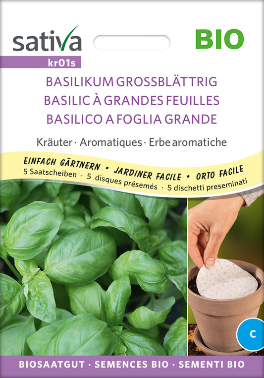 Basilikum Grossblättrig (Saatscheibe) | BIO Basilikumsamen von Sativa Rheinau