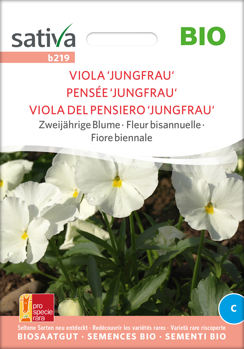 [STREICHUNG 2024] Viola Jungfrau | BIO Hornveilchensamen von Sativa Rheinau
