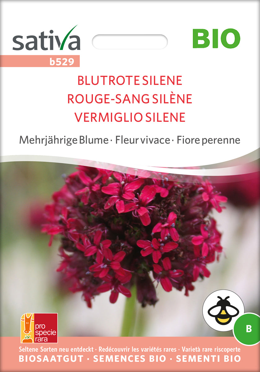 Blutrote Silene | BIO Blumensamen von Sativa Rheinau