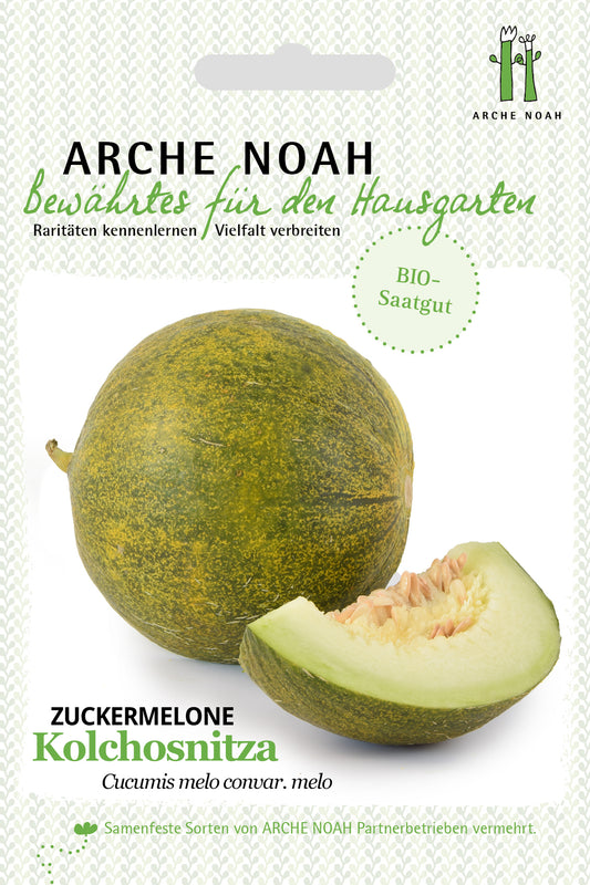 Zuckermelone Kolchosnitza | BIO Zuckermelonensamen von Arche Noah