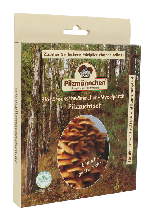 Pilzzuchtset Stockschwämmchen Myzelpatch (4 Stück) | BIO Pilzzucht von Pilzmännchen