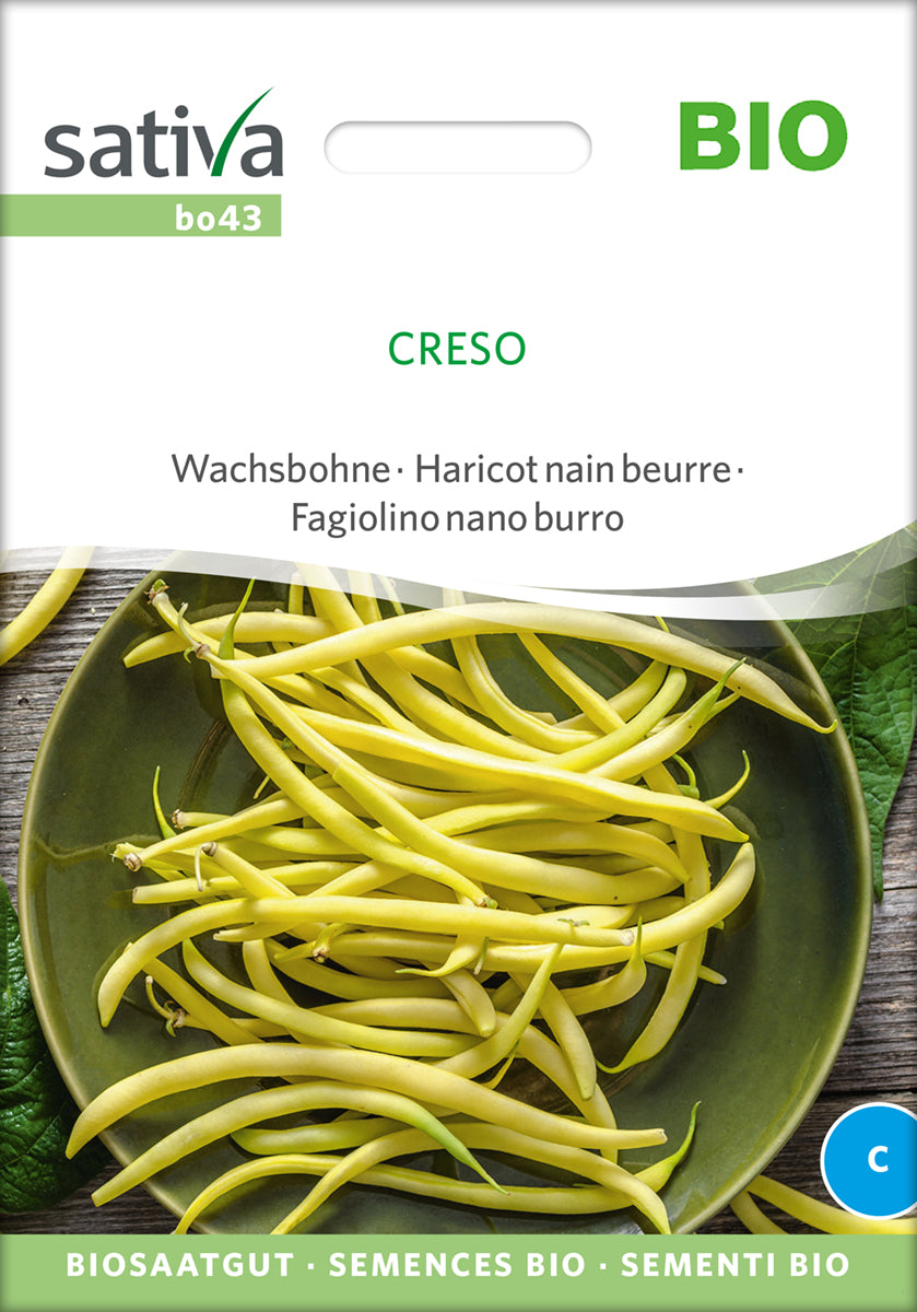 Wachsbohne Creso | BIO Bohnensamen von Sativa Rheinau