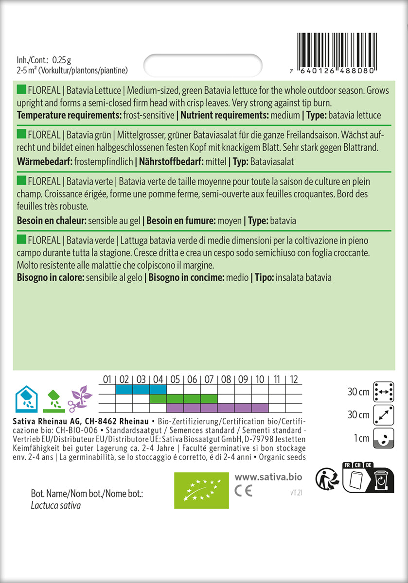 Batavia grün Floreal | BIO Salatsamen von Sativa Rheinau