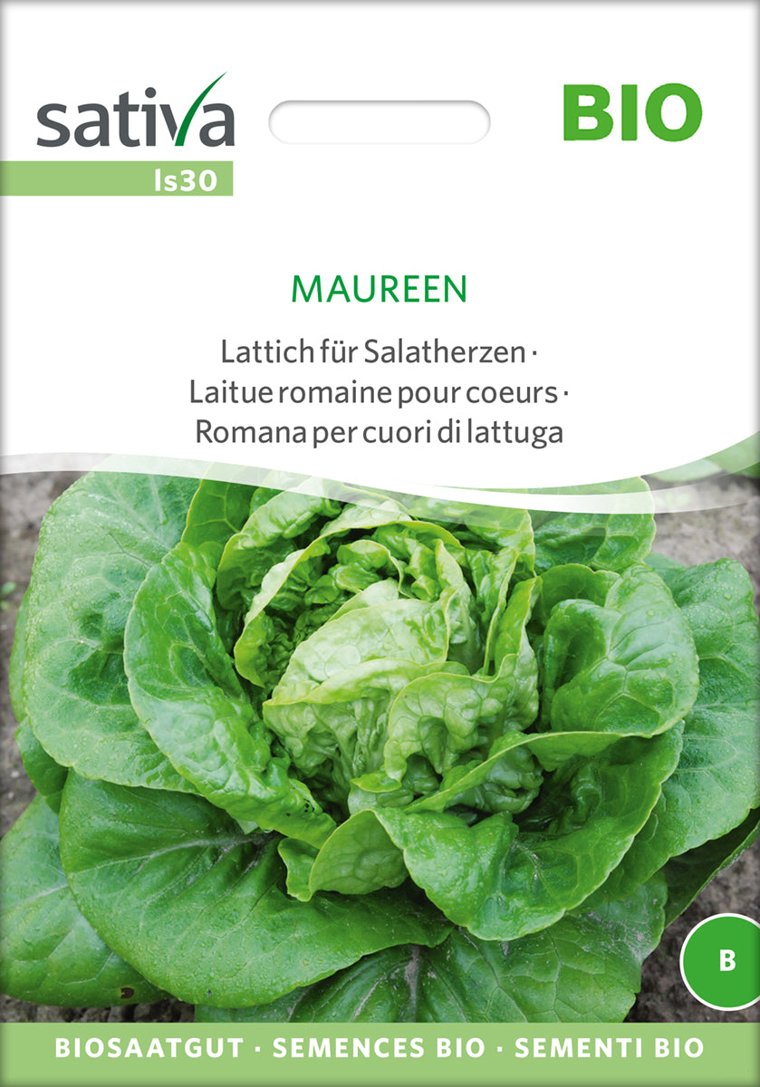Lattich für Salatherzen Maureen | BIO Salatsamen von Sativa Rheinau