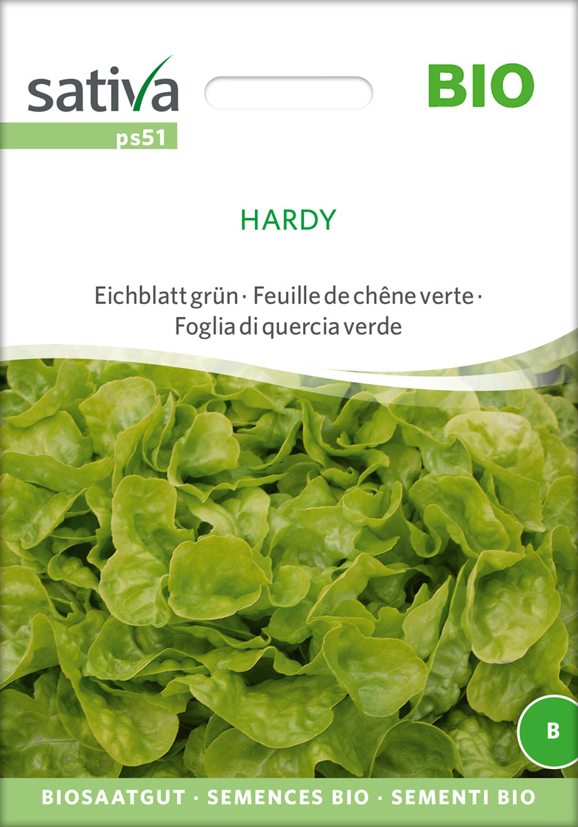 Eichblatt grün Hardy | BIO Eichblattsalatsamen von Sativa Rheinau