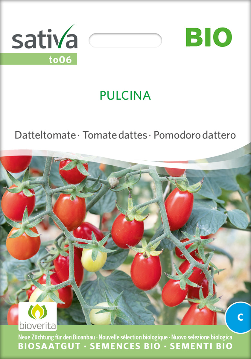 Datteltomate Pulcina | BIO Stabtomatensamen von Sativa Rheinau