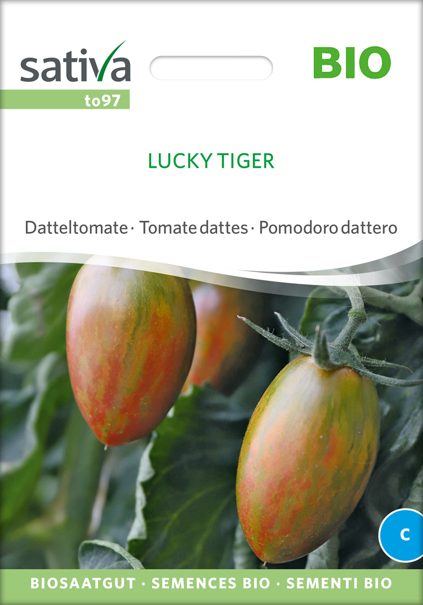Datteltomate Lucky Tiger | BIO Stabtomatensamen von Sativa Rheinau