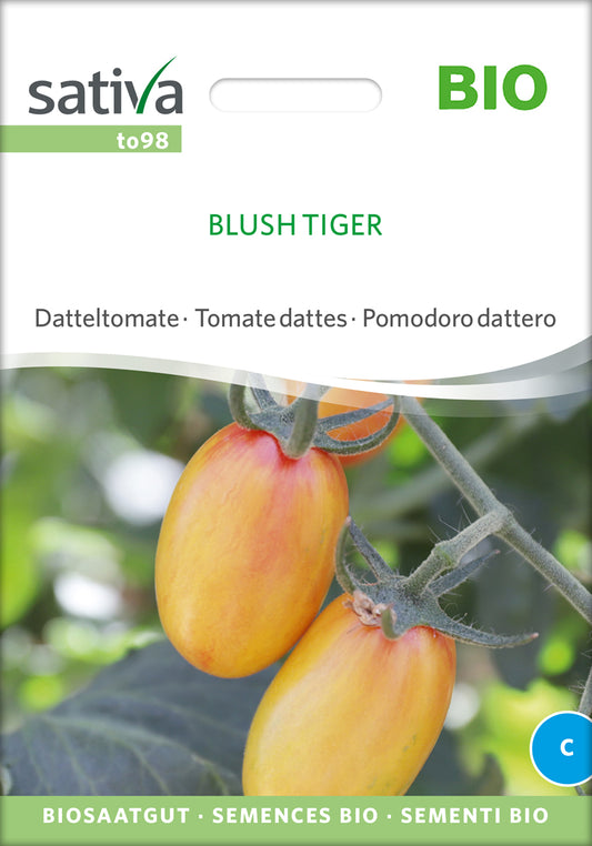 Datteltomate Blush Tiger | BIO Stabtomatensamen von Sativa Rheinau