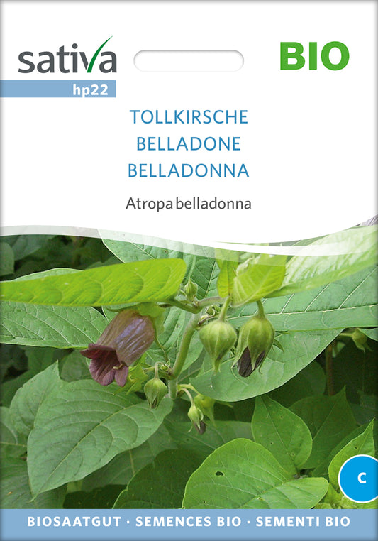 Tollkirsche | BIO Heilpflanzensamen von Sativa Rheinau