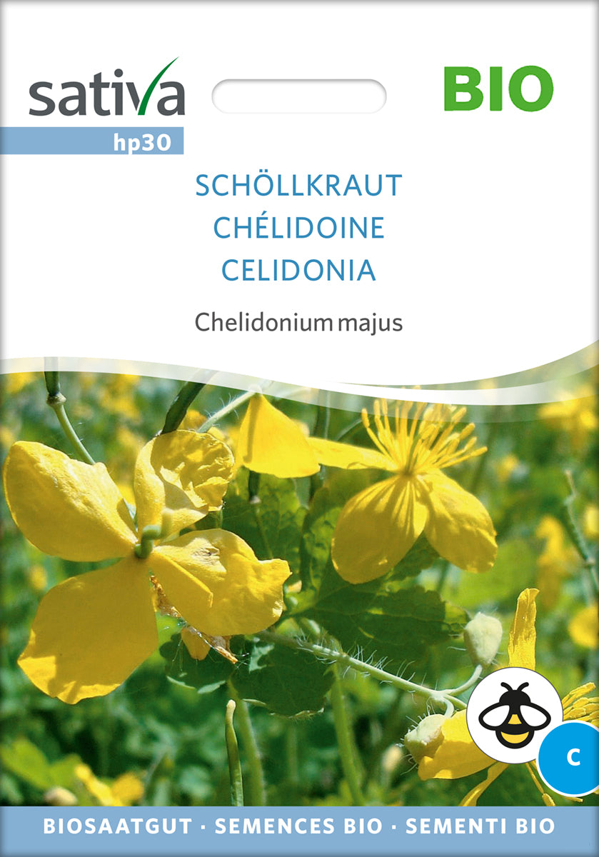 Schöllkraut | BIO Heilpflanzensamen von Sativa Rheinau
