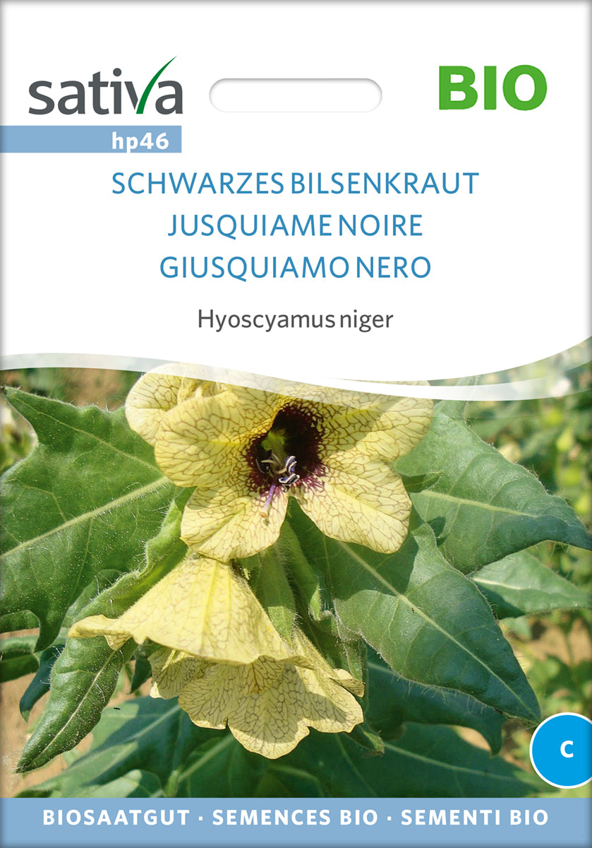 Schwarzes Bilsenkraut | BIO Heilpflanzensamen von Sativa Rheinau