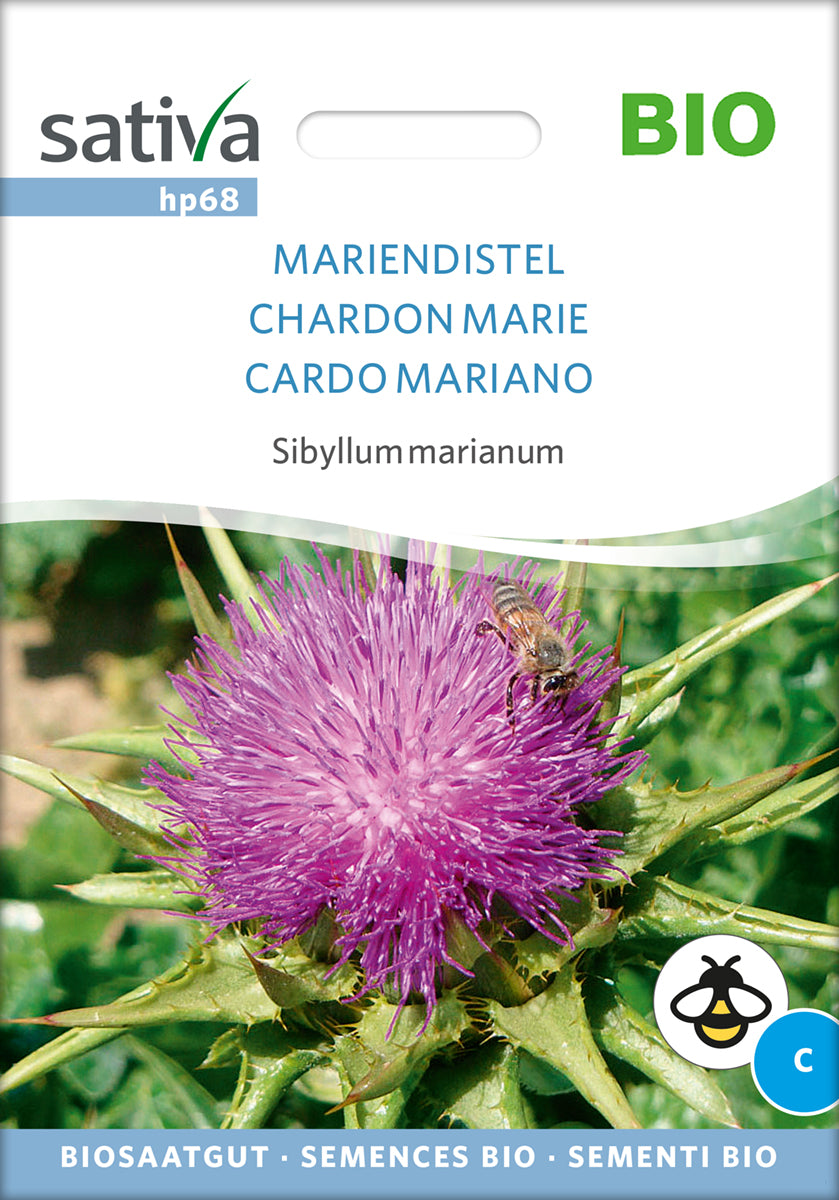 Mariendistel | BIO Heilpflanzensamen von Sativa Rheinau