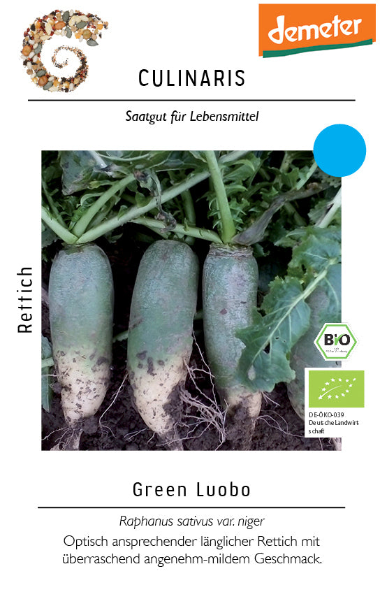 Rettich Green Luobo | BIO Rettichsamen von Culinaris
