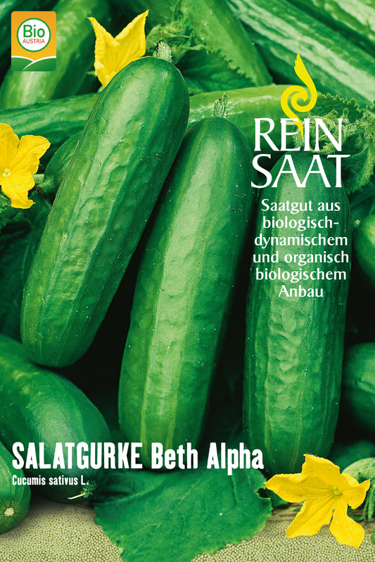 Salatgurke Beth Alpha | BIO Salatgurkensamen von Reinsaat