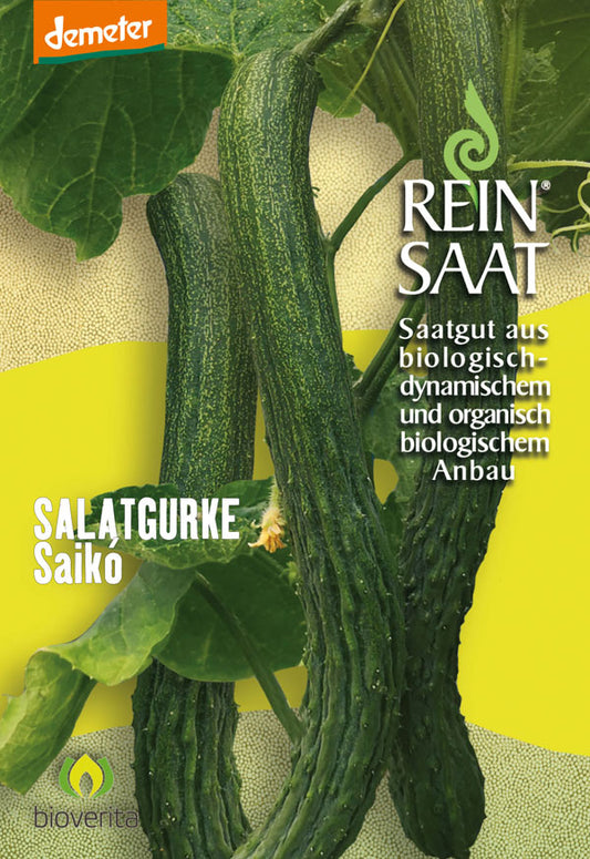 Salatgurke Saikó | BIO Salatgurkensamen von Reinsaat
