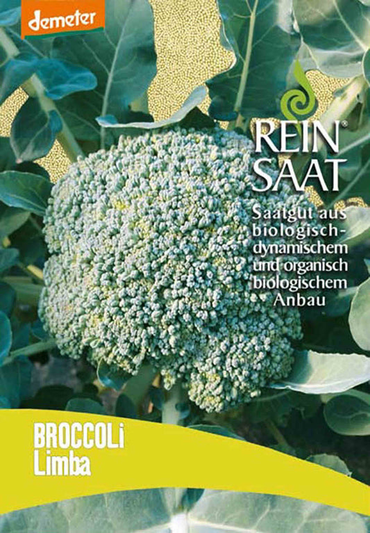 Broccoli Limba | BIO Brokkolisamen von Reinsaat