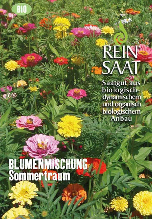 Sommertraum | BIO Blumensamenmischung von Reinsaat