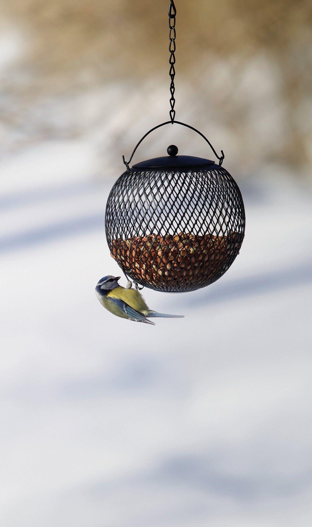 Vogelfutter-Glocke Nüsse | Vogelzubehör & Vogelbedarf von Nelson Garden