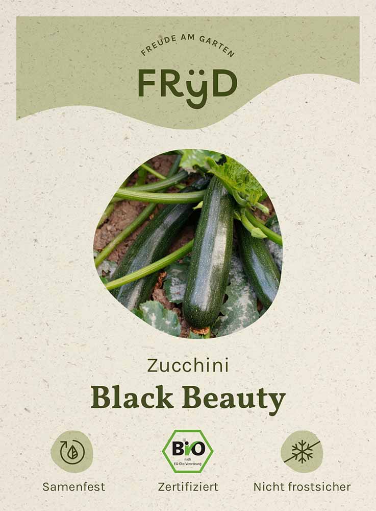Fryd BIO Zucchini Black Beauty