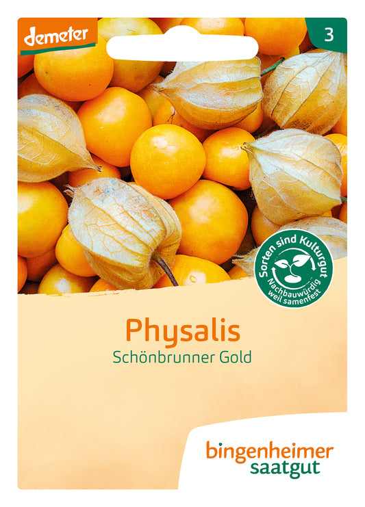 Physalis Schönbrunner Gold | BIO Andenbeerensamen von Bingenheimer Saatgut