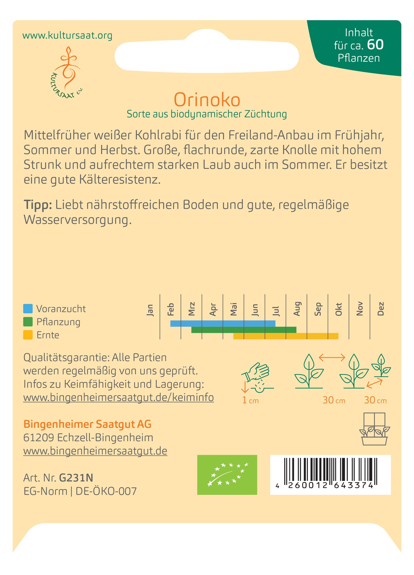 Kohlrabi Orinoko | BIO Kohlrabisamen von Bingenheimer Saatgut