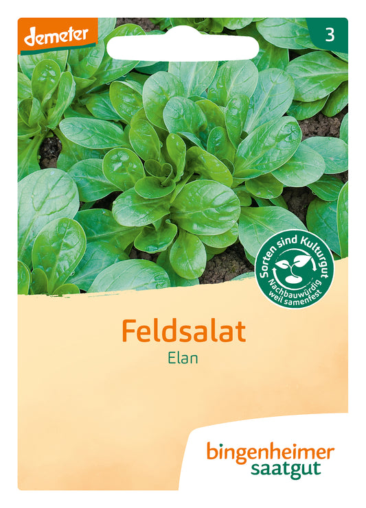 Feldsalat Elan | BIO Feldsalatsamen von Bingenheimer Saatgut