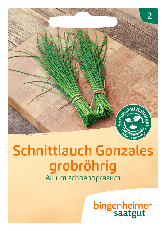 Gonzales Schnittlauch grobr. | BIO Schnittlauchsamen von Bingenheimer Saatgut