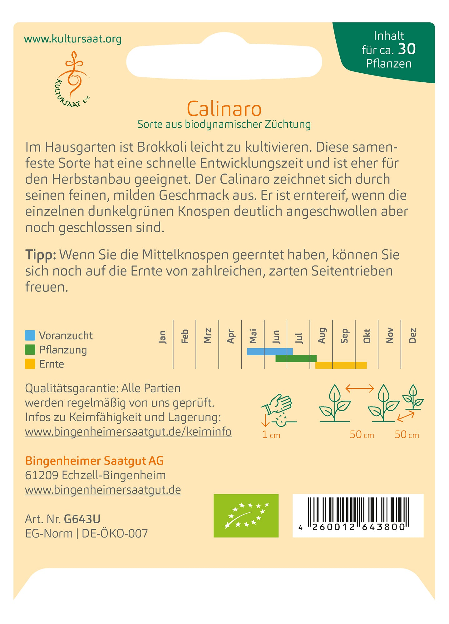 Brokkoli Calinaro | BIO Brokkolisamen von Bingenheimer Saatgut